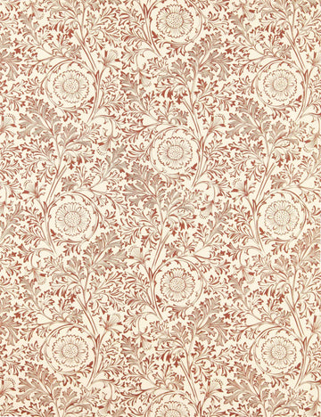 Russet