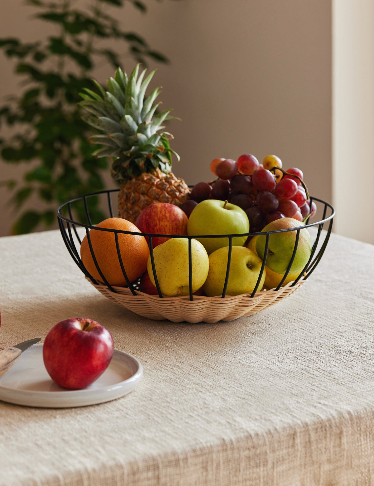 Cabo Fruit Basket by Fleck