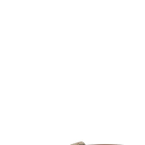Brunello Cucinelli Carved Leather Belt
