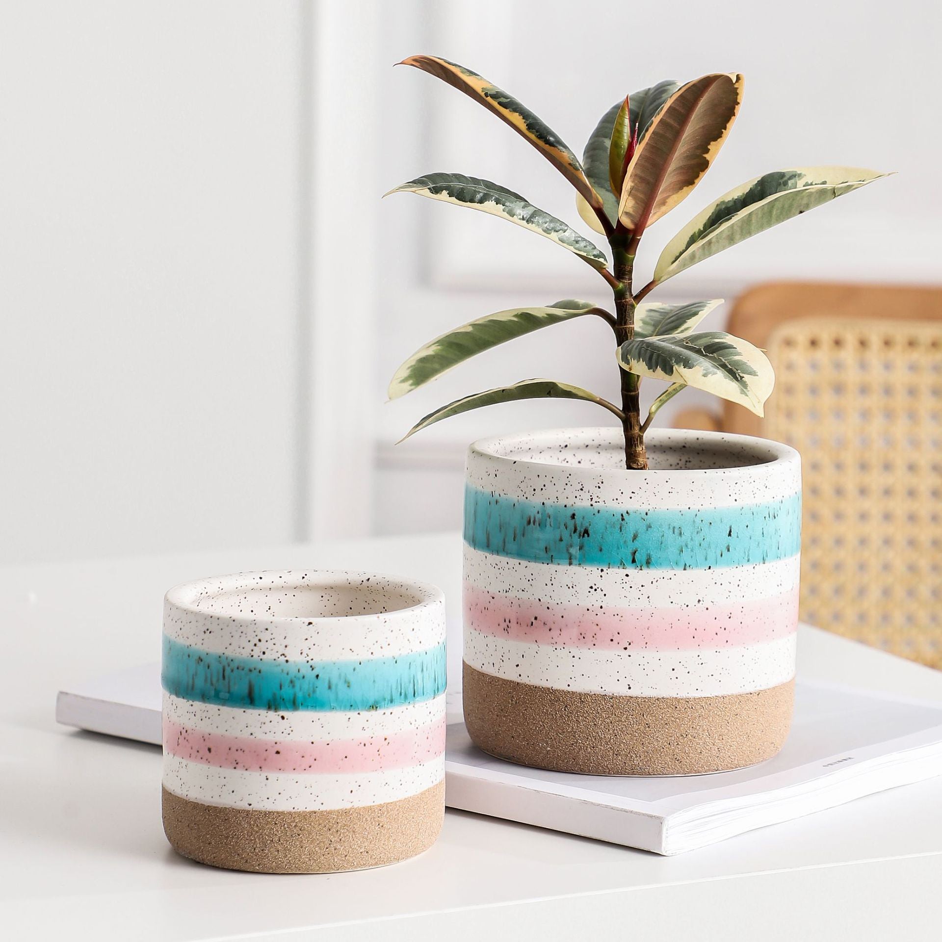 Multicolour Plant Pot Set Of 3
