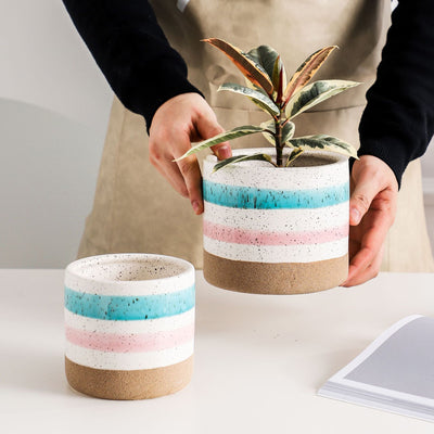 Multicolour Plant Pot Set Of 3