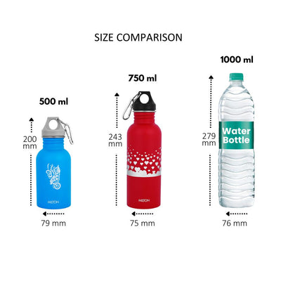 Milton Alive Stainless Steel Water Bottle | 1 Pc