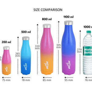 Milton Prudent Thermosteel Bottle | 1 Pc