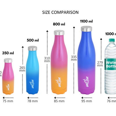 Milton Prudent Thermosteel Bottle | 1 Pc