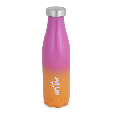 Milton Prudent Thermosteel Bottle | 1 Pc