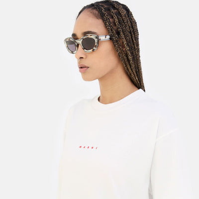 Kea Island Starshell