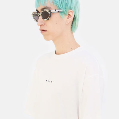 Kea Island Starshell