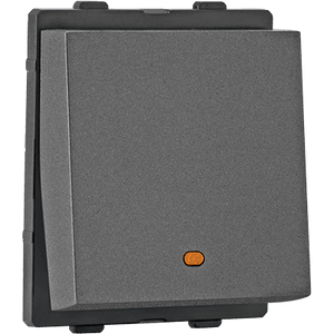 2 Module Switch with Indicator