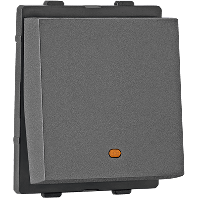 2 Module Switch with Indicator
