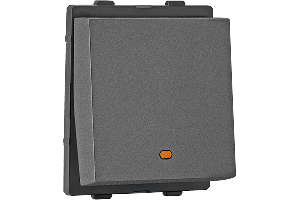 2 Module Switch with Indicator