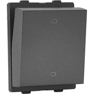2 Module Switch