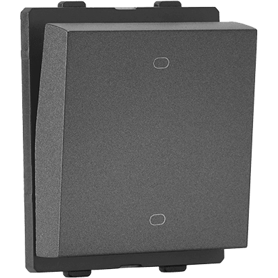 2 Module Switch