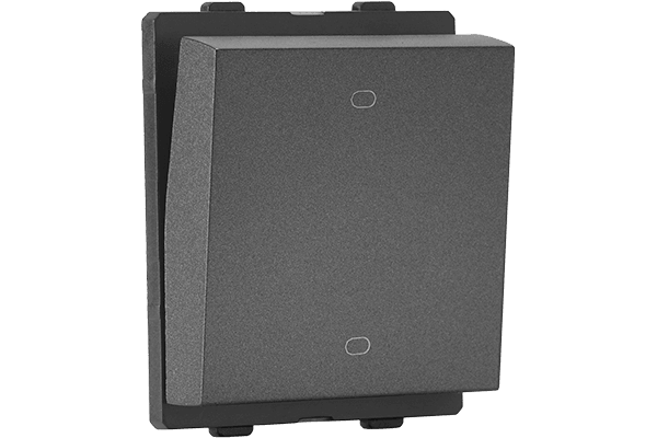 2 Module Switch