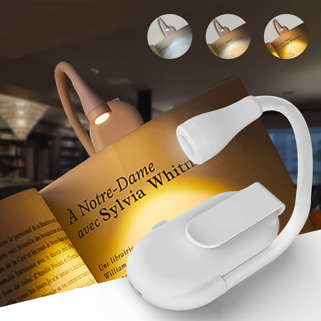 Mini Clip Light