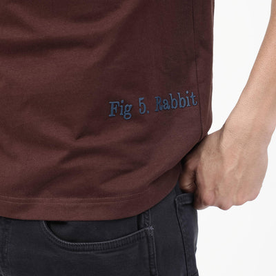 Rare Rabbit Articale Mens Nash Brown Cotton Polyester Fabric Short Sleeve Crew Neck Boxy Fit Printed T-Shirt