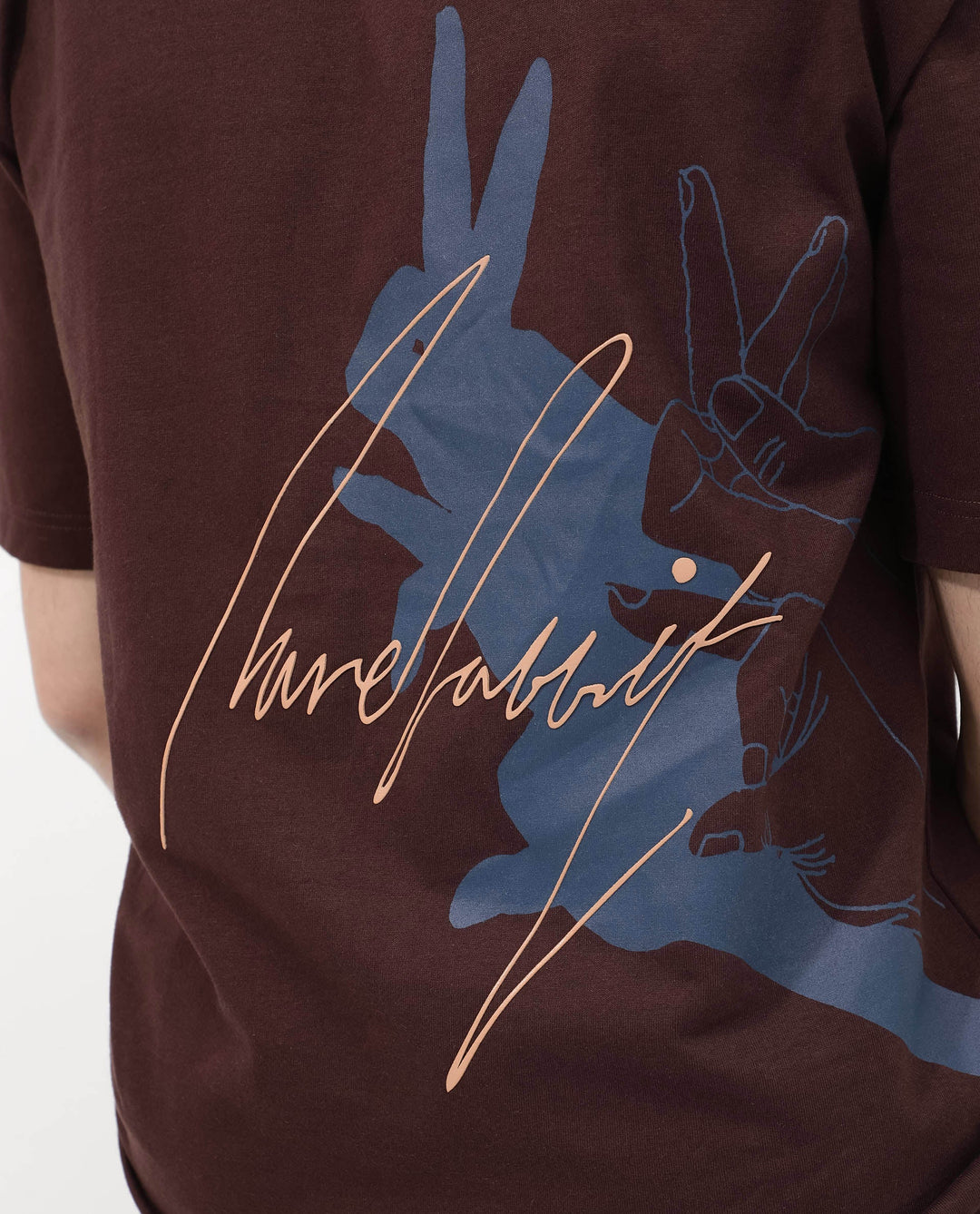 Rare Rabbit Articale Mens Nash Brown Cotton Polyester Fabric Short Sleeve Crew Neck Boxy Fit Printed T-Shirt