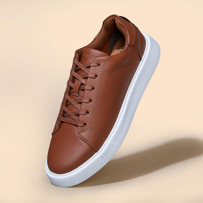 Classic Solids : Brown