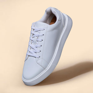 Classic Solids : White