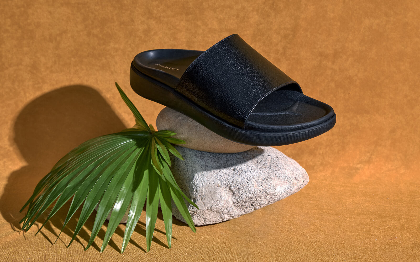 Purewhoosh Slides : Black