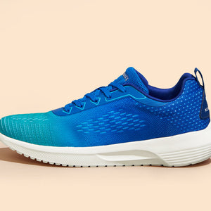 The Loungesters : Blue-Teal