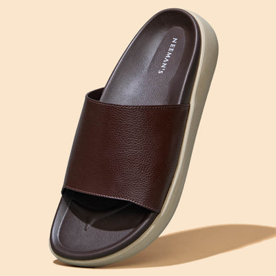 Purewhoosh Slides : Brown