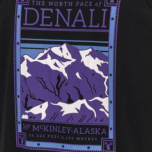 The North Face North Faces T-shirt
