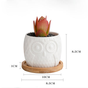 Owl Ceramic Pot