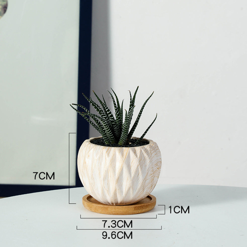 Succulent Planter