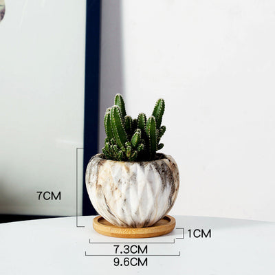 Succulent Planter