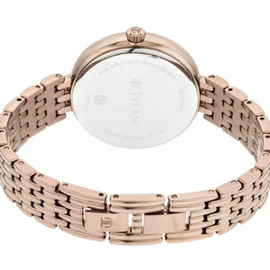 Titan Animalia Brown Dial Analog Stainless Steel Strap watch for Women 42.6mm NT95129QM01