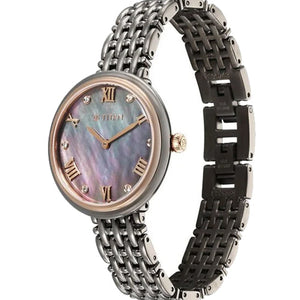 Titan Aura Quartz Analog Titanium Mother of Pearl Dial Titanium Stainless Steel Strap Watch for Women 34mm NT95243KM01