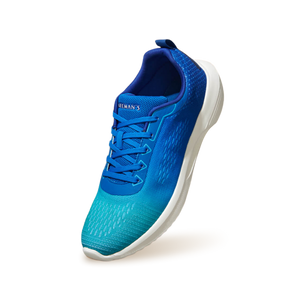 The Loungesters : Blue-Teal