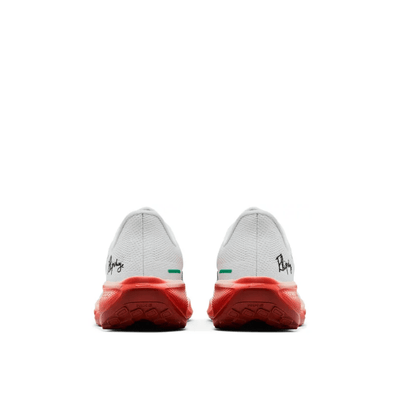 Nike Air Zoom Pegasus 41 Eliud Kipchoge