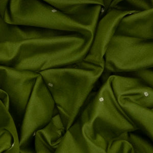 Leaf Green Handloom Orissa Silk saree With Contrast Black Border-Leaf Green