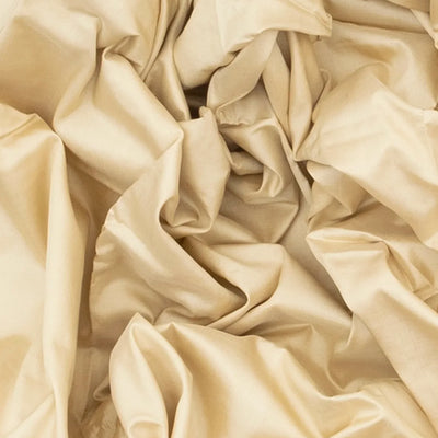 Cream Handloom Orissa Silk Saree With Temple Border & Stripped Pallu-Cream