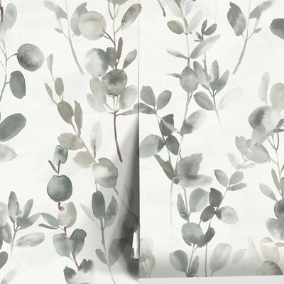 Joyful Eucalyptus Wallpaper by Candice Olson
