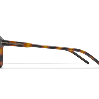Frame Color