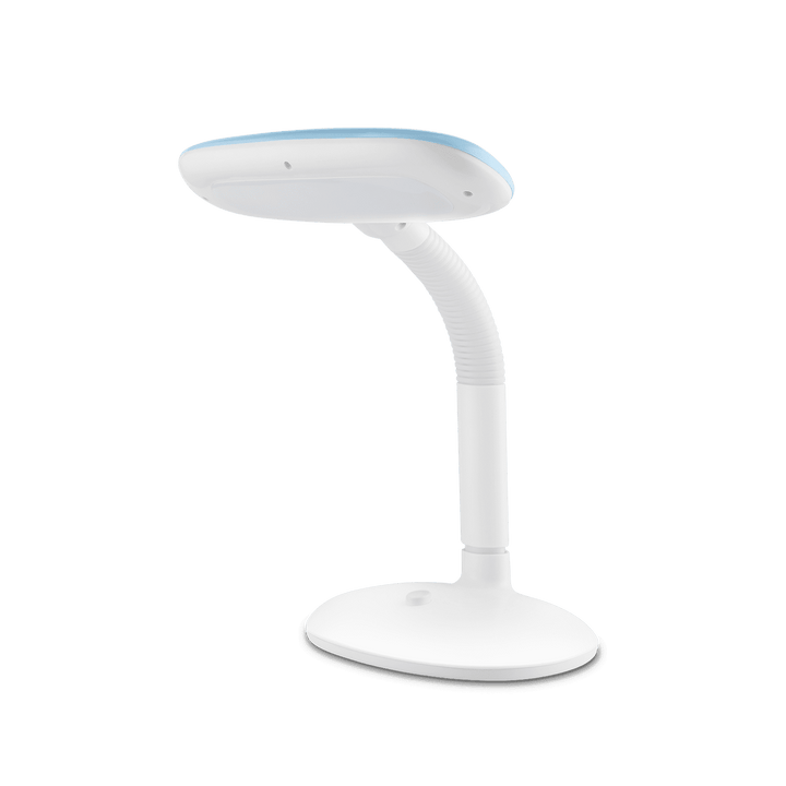 Oval LED Desk Lamp for Study Table