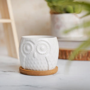 Owl Ceramic Pot