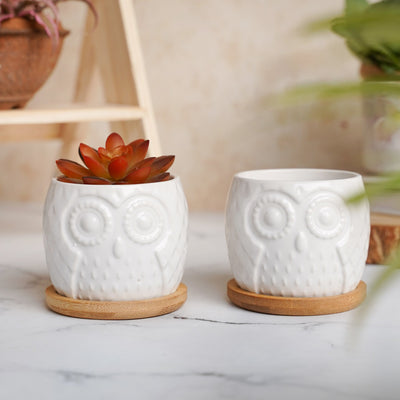 Owl Ceramic Pot