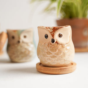 Owl Planters Set of 6