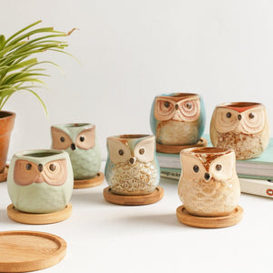 Owl Planters Set of 6