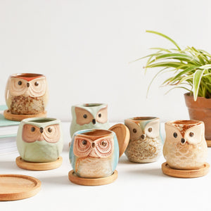 Owl Planters Set of 6