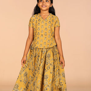 Cotton Kalamkari girls skirt & top set