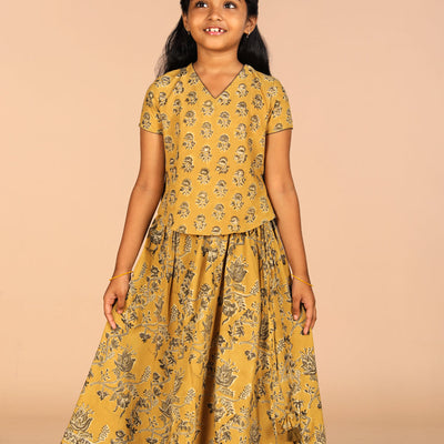Cotton Kalamkari girls skirt & top set