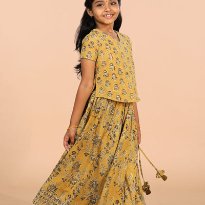 Cotton Kalamkari girls skirt & top set
