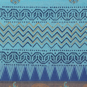 Hand block printed cotton saree