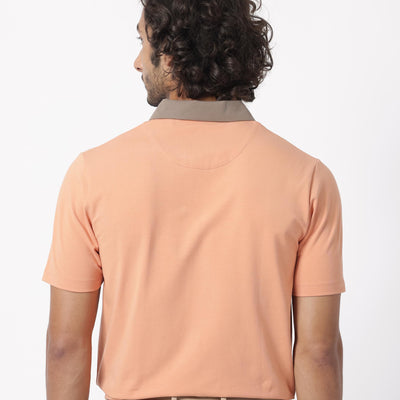 Rare Rabbit Men's Panet Orange Cotton Lycra Fabric Collared Neck Zipper Closure Half Sleeves Polo T-Shirt