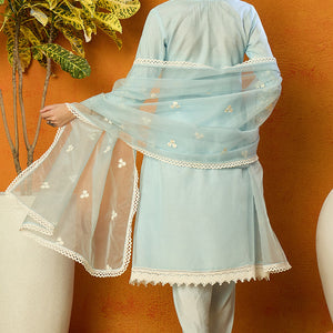 Blue Organza Solid Embroidered A-Line Dhoti Style Suit Set PKSKD2440