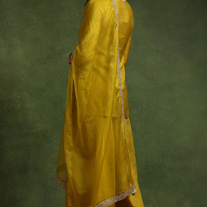 Lime Green Silk Blend Embroidered Straight Palazzo Suit Set PKSKD2609